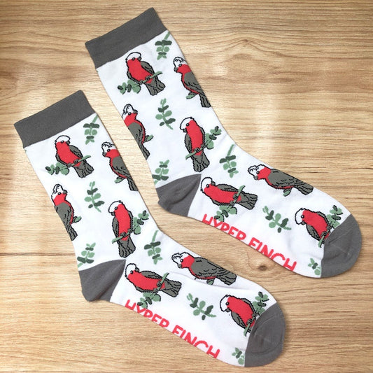 Galah Socks (White)