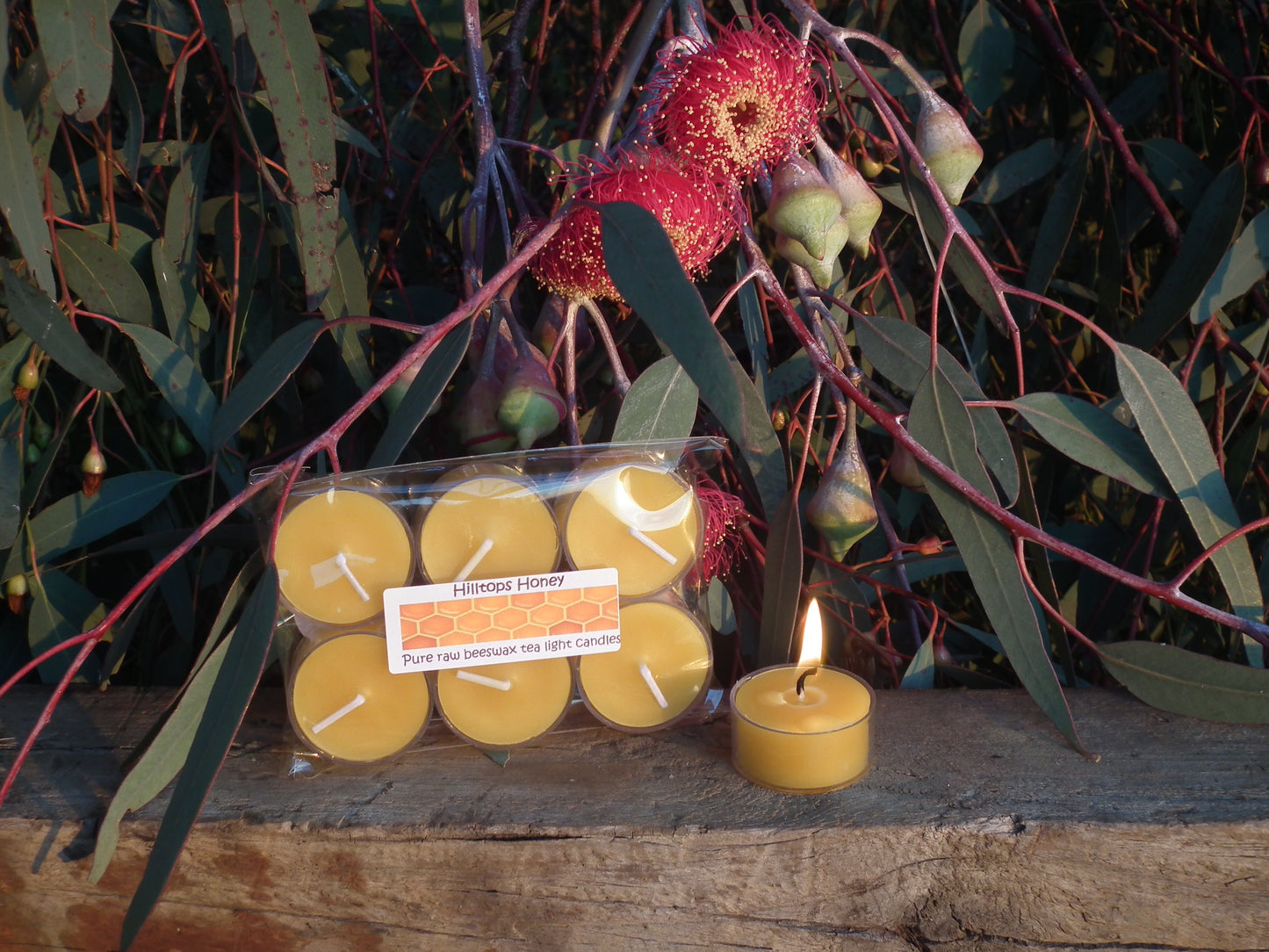 Beeswax candle - tea light 6pk