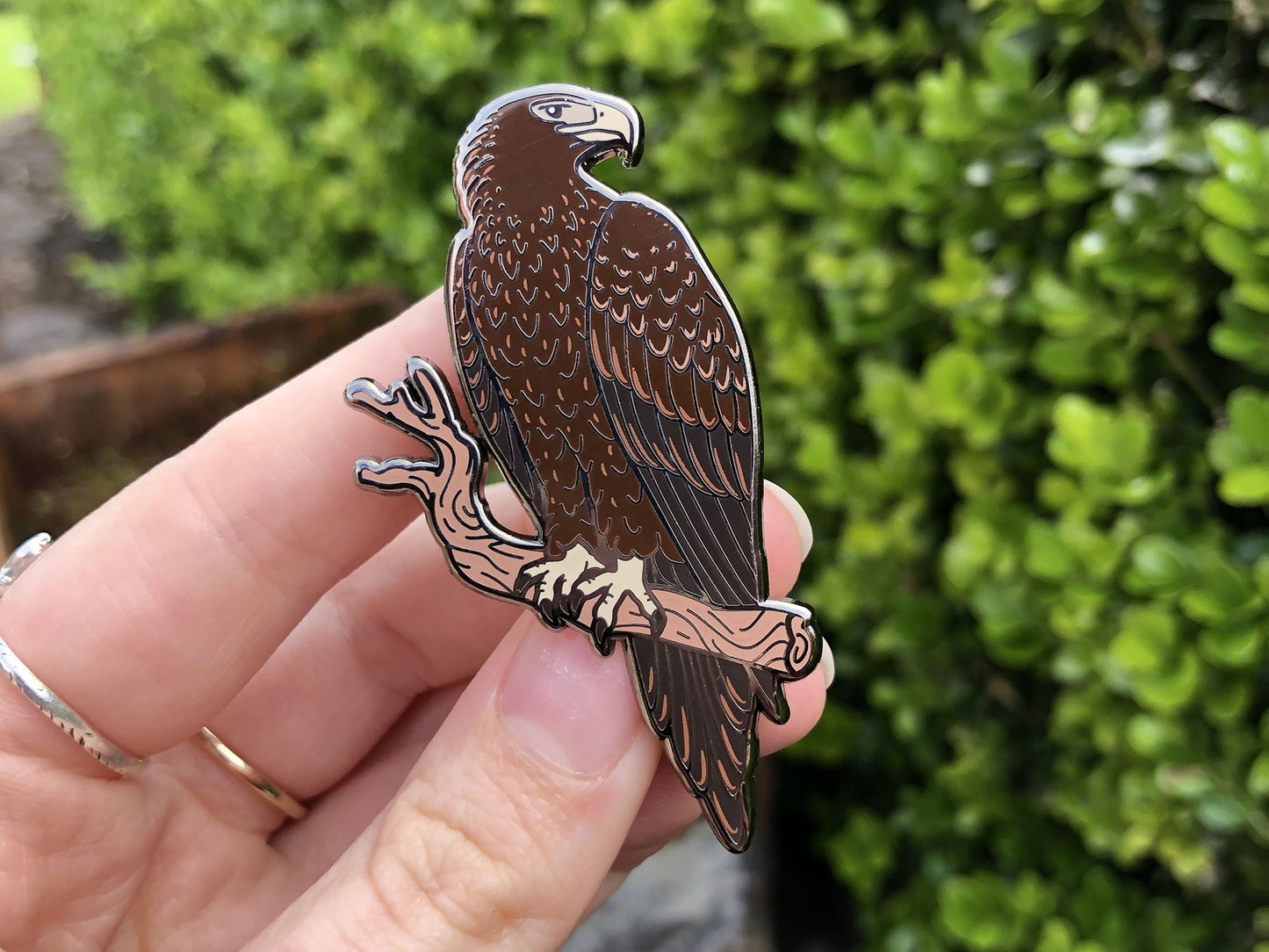 Wedge-Tailed Eagle - Enamel Pin