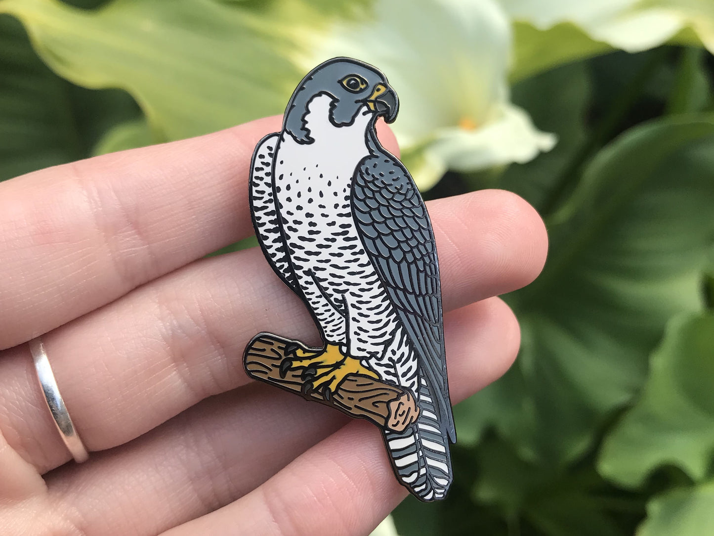 Peregrine Falcon - Enamel Pin