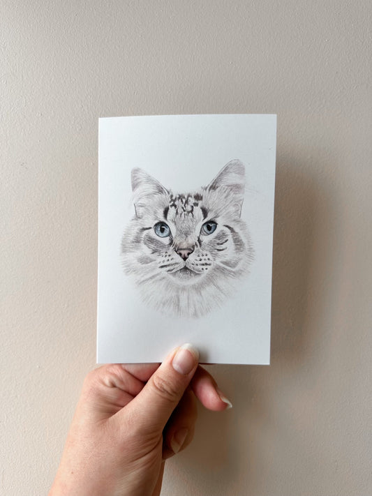 Maeve the Moggy Card