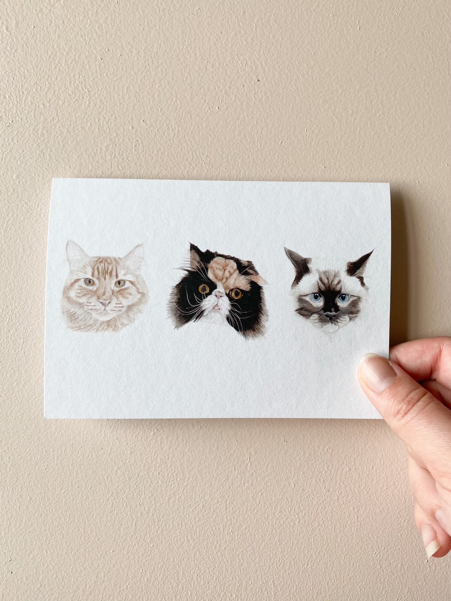 Fluffy Kitties Card