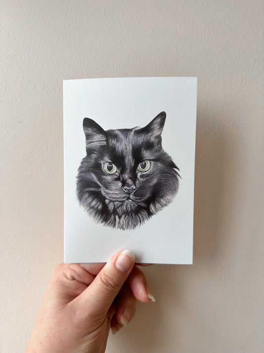 Kalix the Black Cat Card