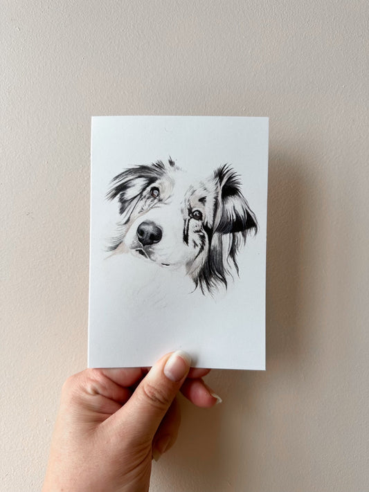 Fira the Aussie Shepherd Card