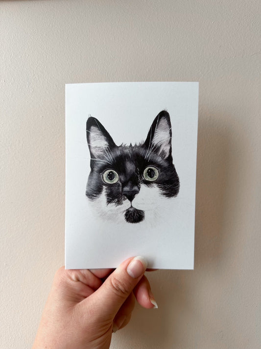 Percy the Tuxedo Cat Card